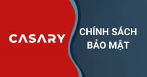 casary chinh sach bao mat