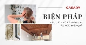 cac cach xu ly nha am moc