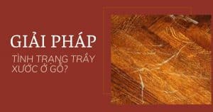 anh bia giai phap cho tinh trang tray xuoc o go tu nhien