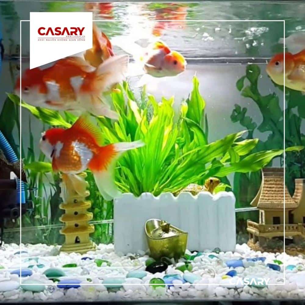 6 món đồ đặt trong phòng khách đảm bảo thu hút tài lộc 5 be ca canh