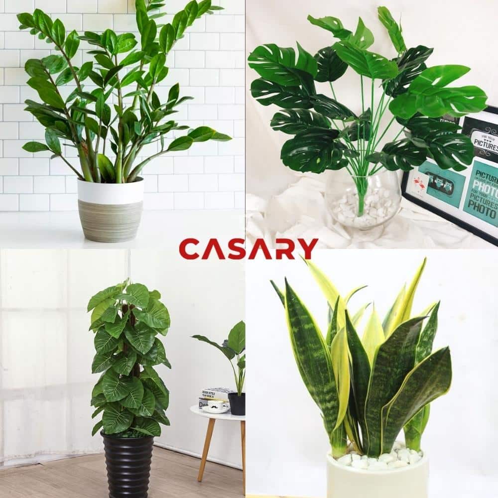 6 món đồ đặt trong phòng khách đảm bảo thu hút tài lộc 1 cay phong thuy