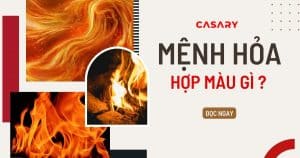 anh bia nguoi menh hoa hop mau gi