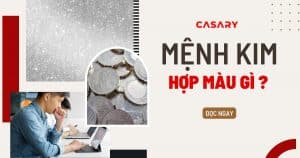 Người mệnh Kim hợp màu gì? 20 anh bia nguoi menh kim hop mau gi