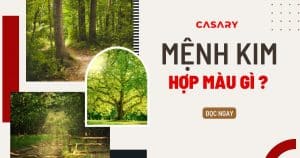 Người mệnh Mộc hợp màu gì? 20 anh bia nguoi menh moc hop mau gi