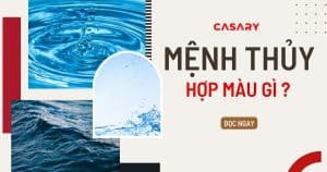 anh bia nguoi menh thuy hop mau gi