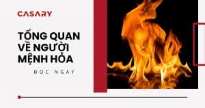 Tổng quan về người mệnh Hỏa 20 anh bia tong quan ve nguoi menh hoa 1