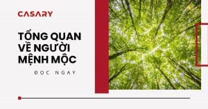 anh bia tong quan ve nguoi menh moc