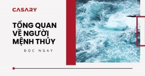 anh bia tong quan ve nguoi menh thuy