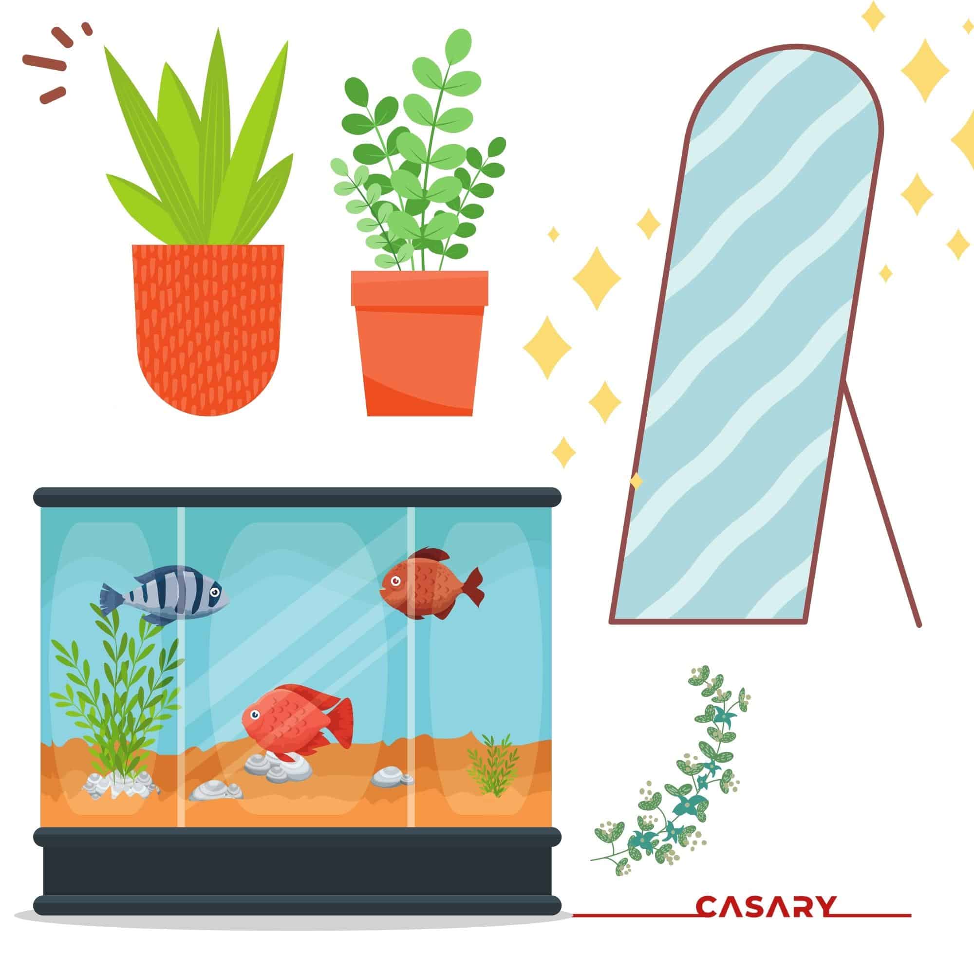 cach gia tang van khi cho menh hoa