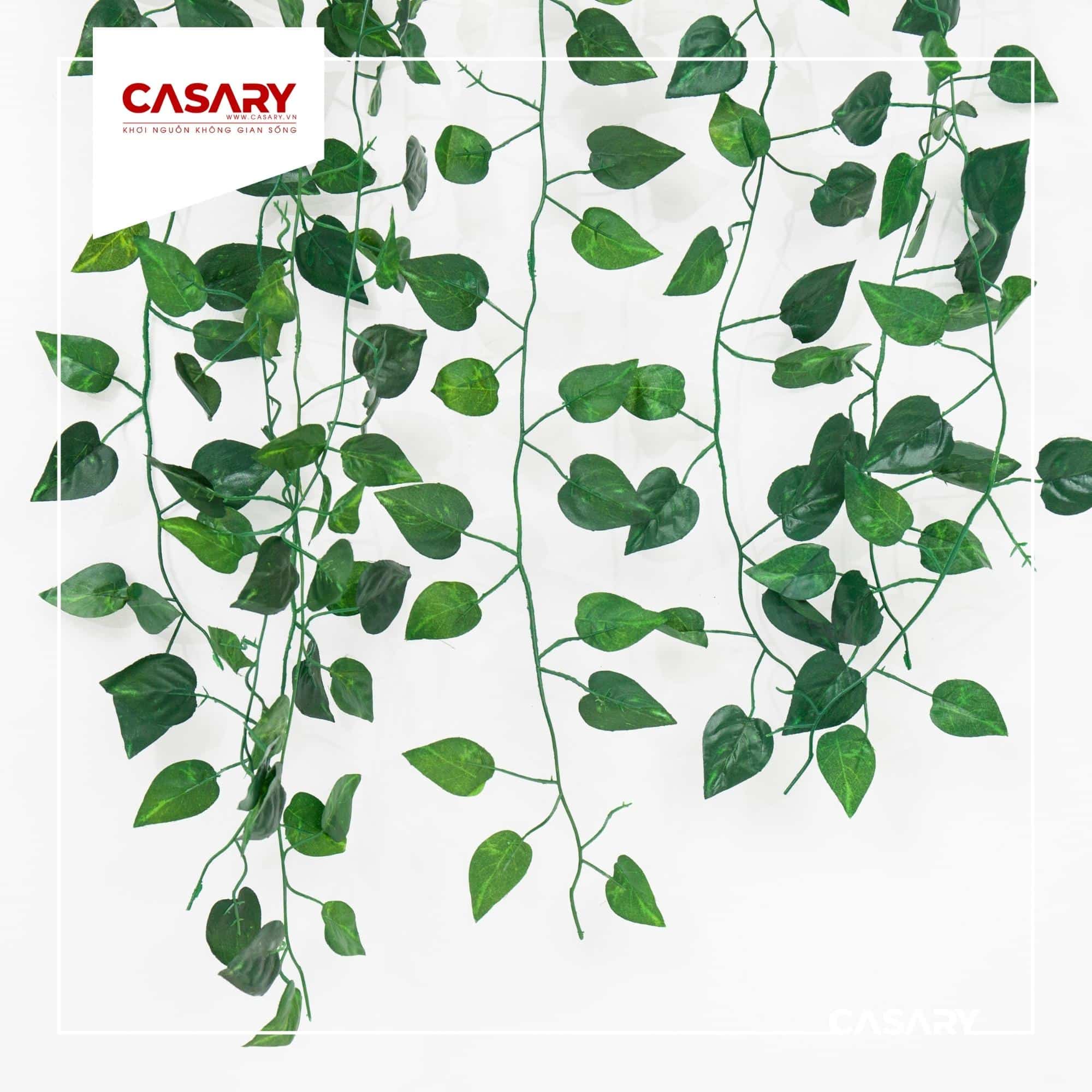 Thiết kế phòng khách hợp phong thủy cho mệnh Thủy 6 cay thuong