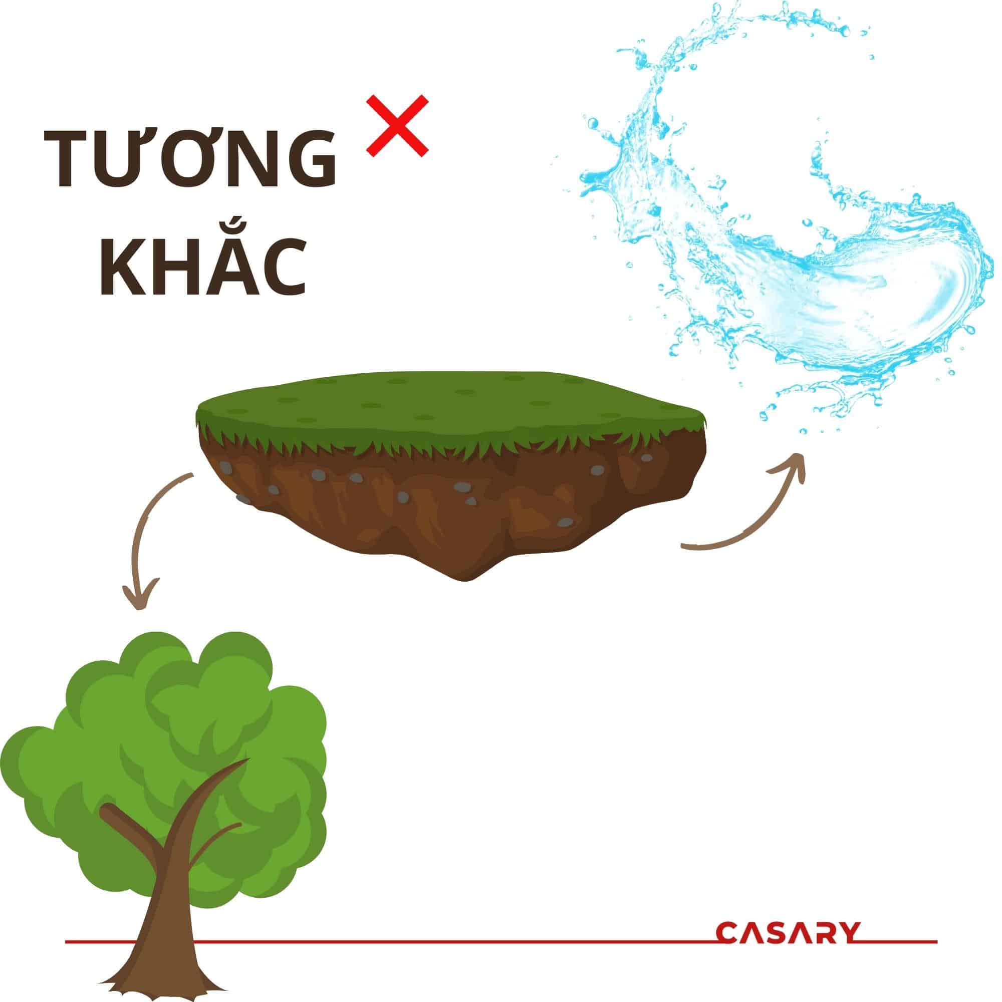 menh tuong khac voi menh tho 1