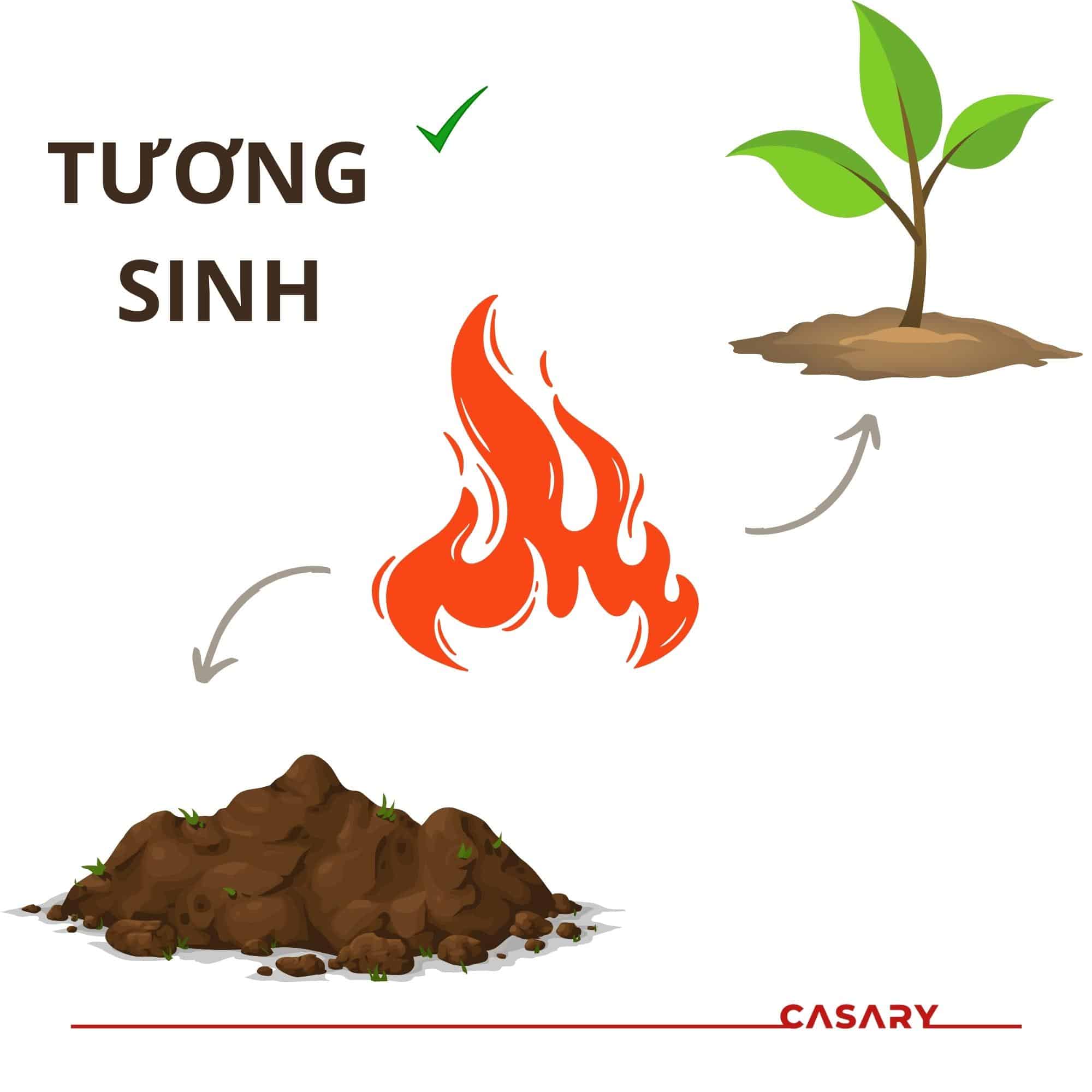 Hoả Tương Sinh Với Gì? Khám Phá Ý Nghĩa và Ứng Dụng Trong Ngũ Hành