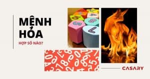 menh hoa hop so nao 1