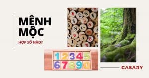 Người mệnh Mộc hợp con số nào? 16 menh moc hop so nao