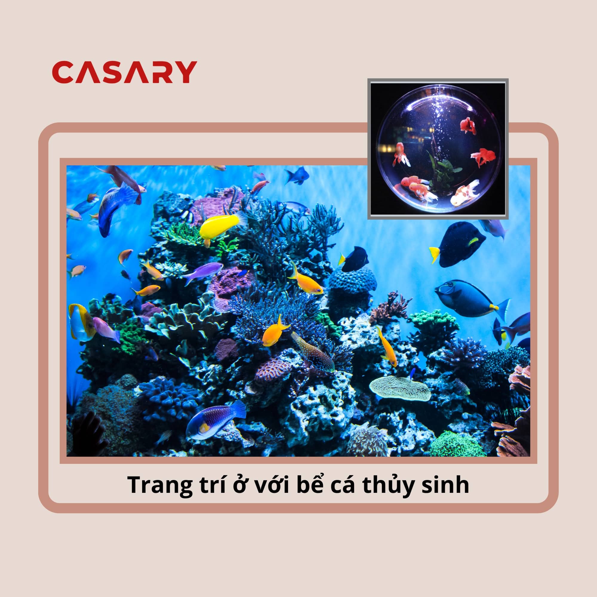 trang tri nha o ngay tet voi be ca thuy sinh