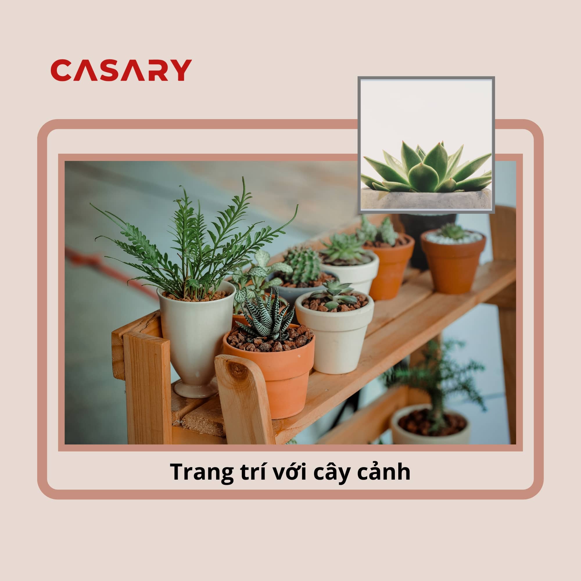 trang tri nha o ngay tet voi cay canh