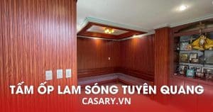 tam op lam song tuyen quang