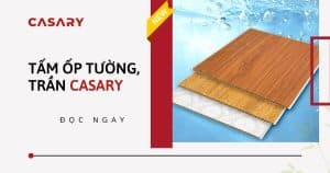 tam op tran tuong casary