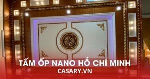 tam op nano ho chi minh 1