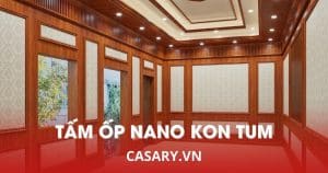 tam op nano kon tum 1