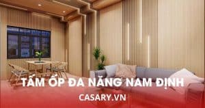 tam op da nang soi than tre nam dinh 2