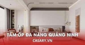 tam op da nang soi than tre quang ninh 2