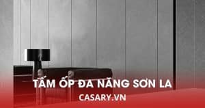 tam op da nang soi than tre son la 2