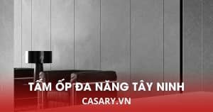 tam op da nang soi than tre tay ninh 2