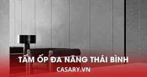 tam op da nang soi than tre thai binh 2