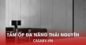 tam op da nang soi than tre thai nguyen 2