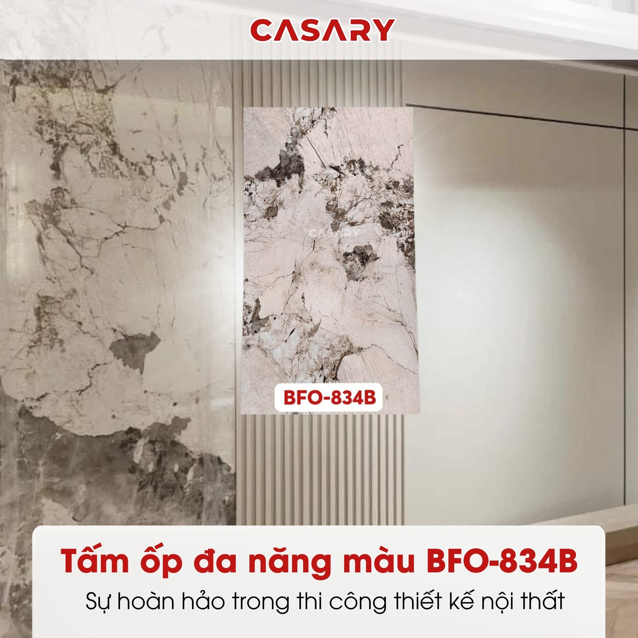 Tam op da nang mau BF0 834B 1