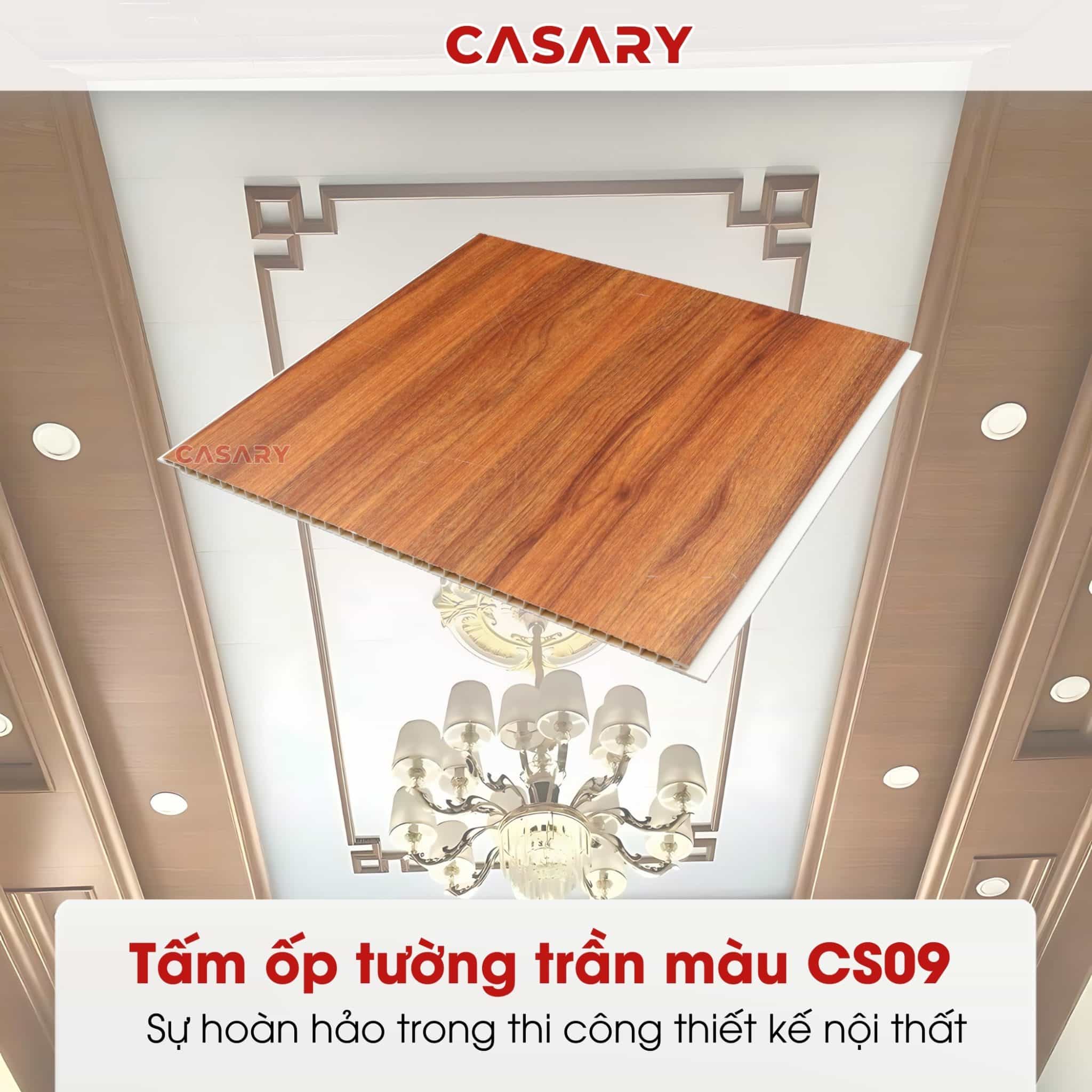 Tam op tuong tran mau CS09 1