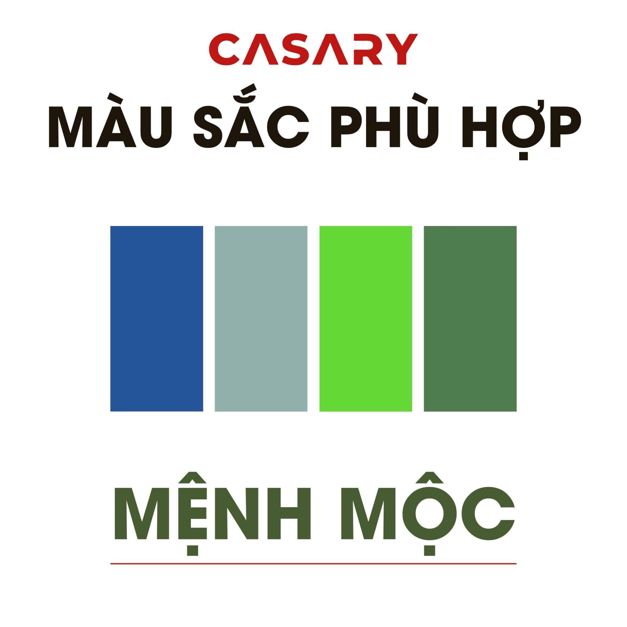 mau sac phu hop voi gia chu menh moc